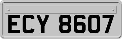 ECY8607