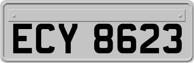 ECY8623