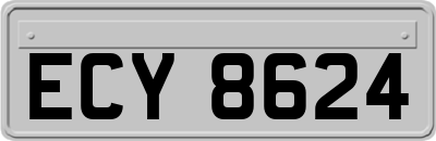 ECY8624