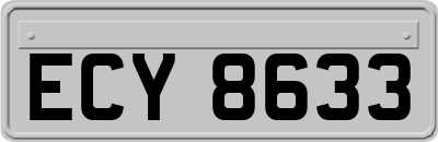 ECY8633