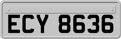 ECY8636