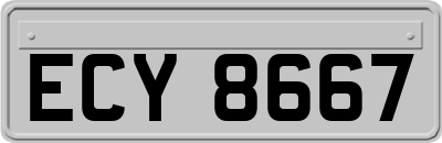 ECY8667