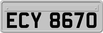 ECY8670