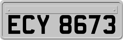 ECY8673