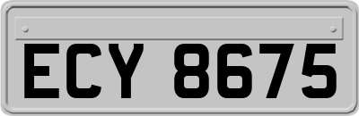 ECY8675