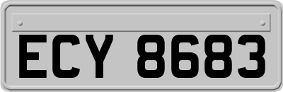ECY8683