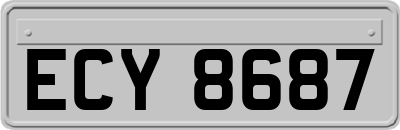 ECY8687