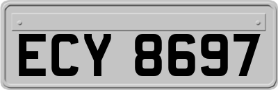 ECY8697