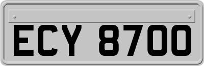 ECY8700
