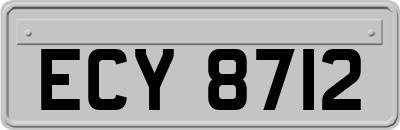 ECY8712