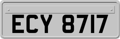 ECY8717