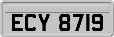 ECY8719