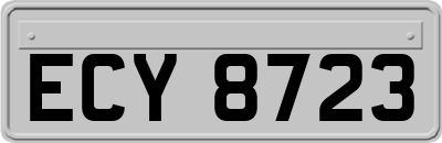 ECY8723