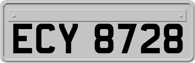 ECY8728