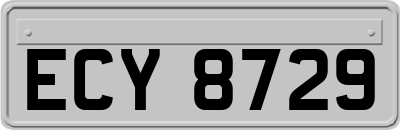 ECY8729