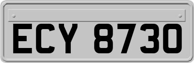 ECY8730