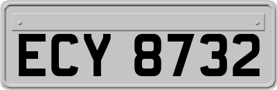 ECY8732