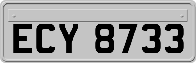 ECY8733