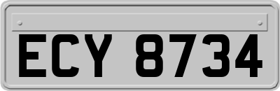 ECY8734