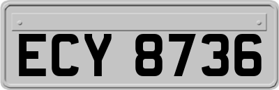 ECY8736