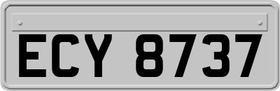 ECY8737