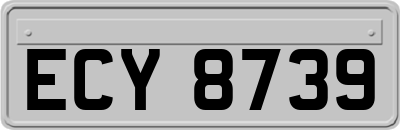 ECY8739