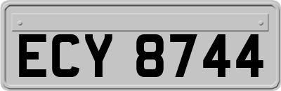 ECY8744