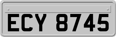 ECY8745