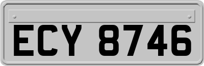 ECY8746