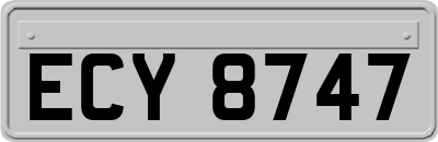 ECY8747