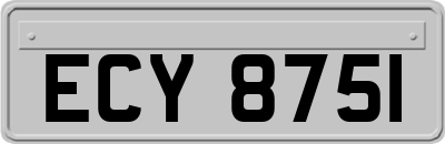 ECY8751