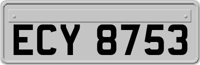 ECY8753