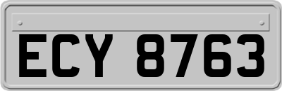 ECY8763
