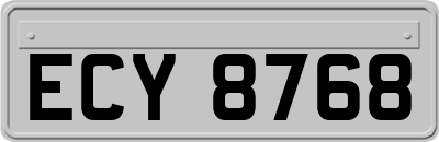 ECY8768