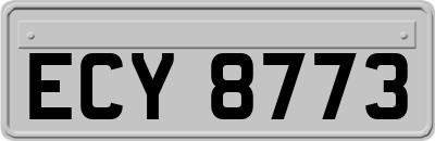 ECY8773