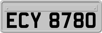 ECY8780