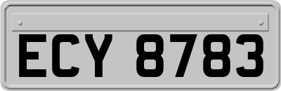 ECY8783