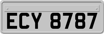 ECY8787