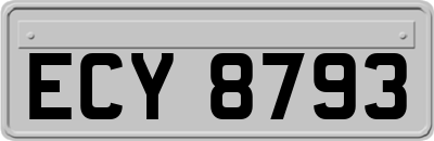ECY8793
