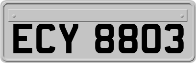 ECY8803