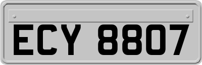 ECY8807