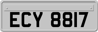 ECY8817