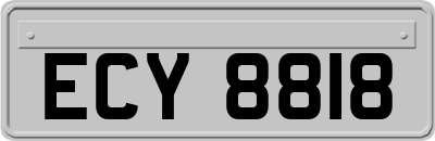 ECY8818