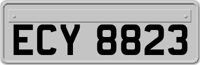 ECY8823