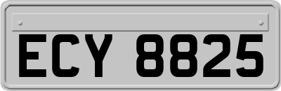 ECY8825