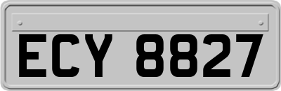 ECY8827