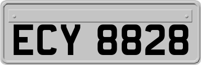 ECY8828
