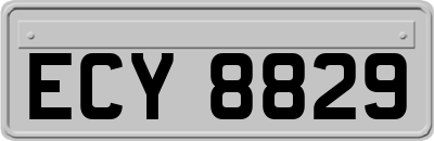 ECY8829