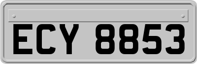 ECY8853
