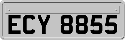 ECY8855